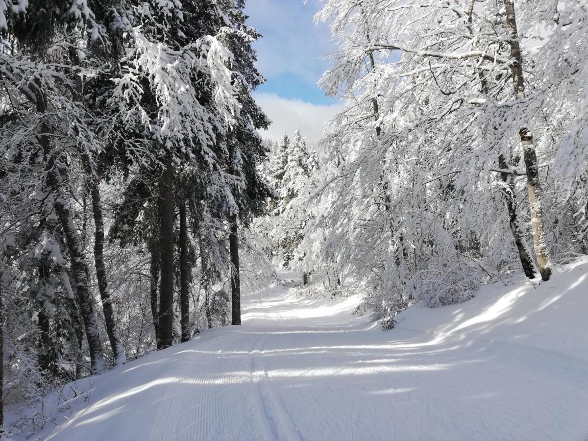 Ferme Des Deux Freres, Autrans, Vercors 外观 照片