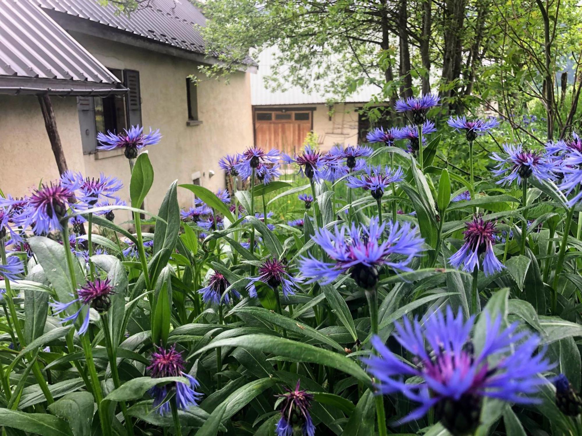 Ferme Des Deux Freres, Autrans, Vercors 外观 照片