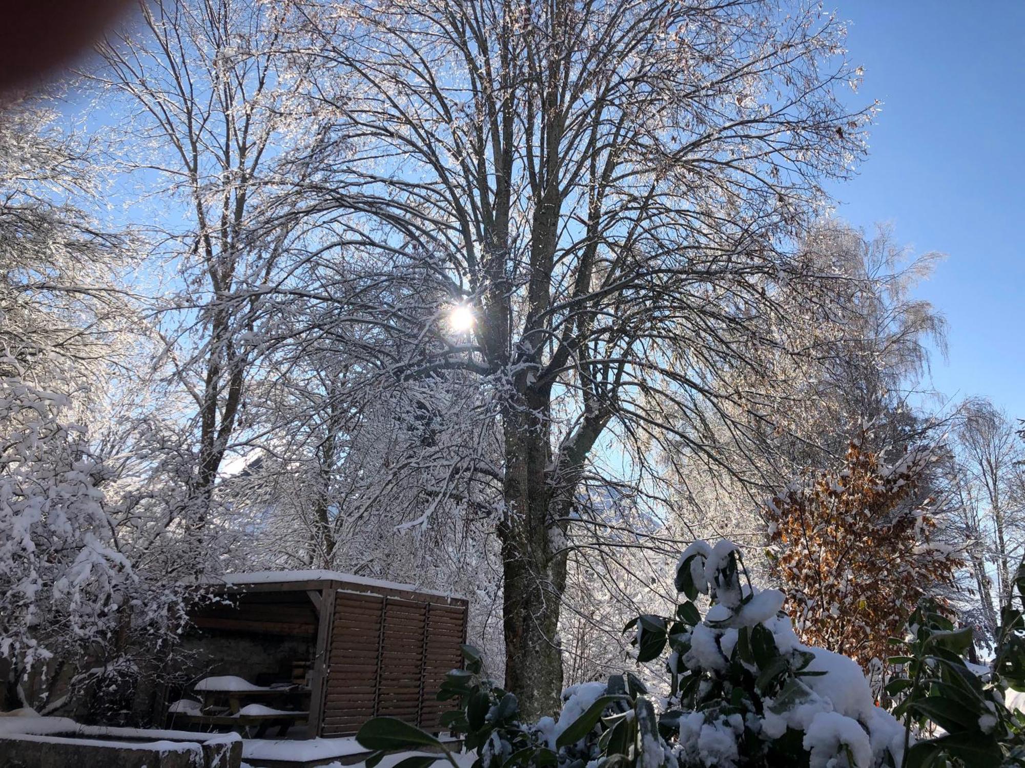 Ferme Des Deux Freres, Autrans, Vercors 外观 照片
